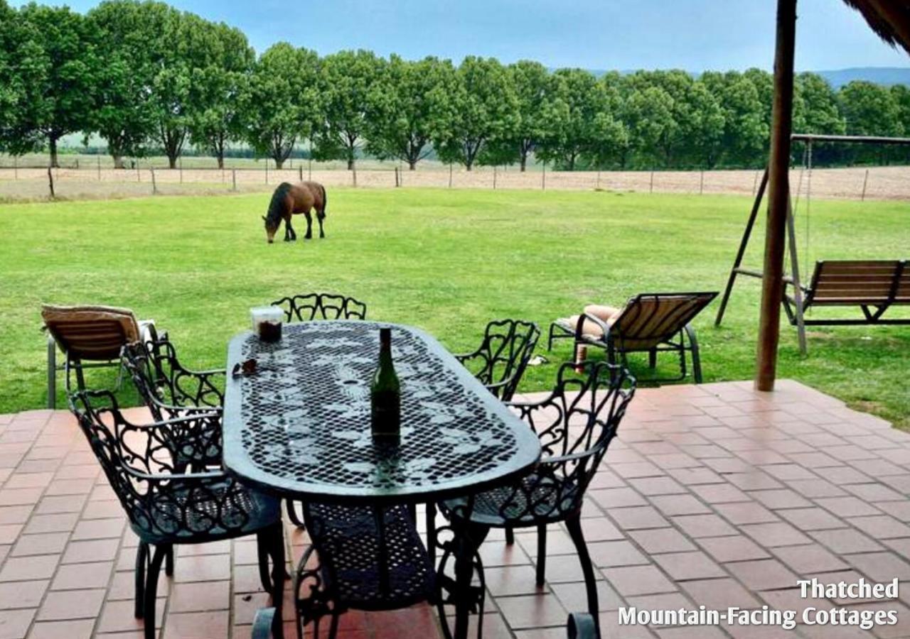 Ardmore Guest Farm Champagne Valley Exterior foto